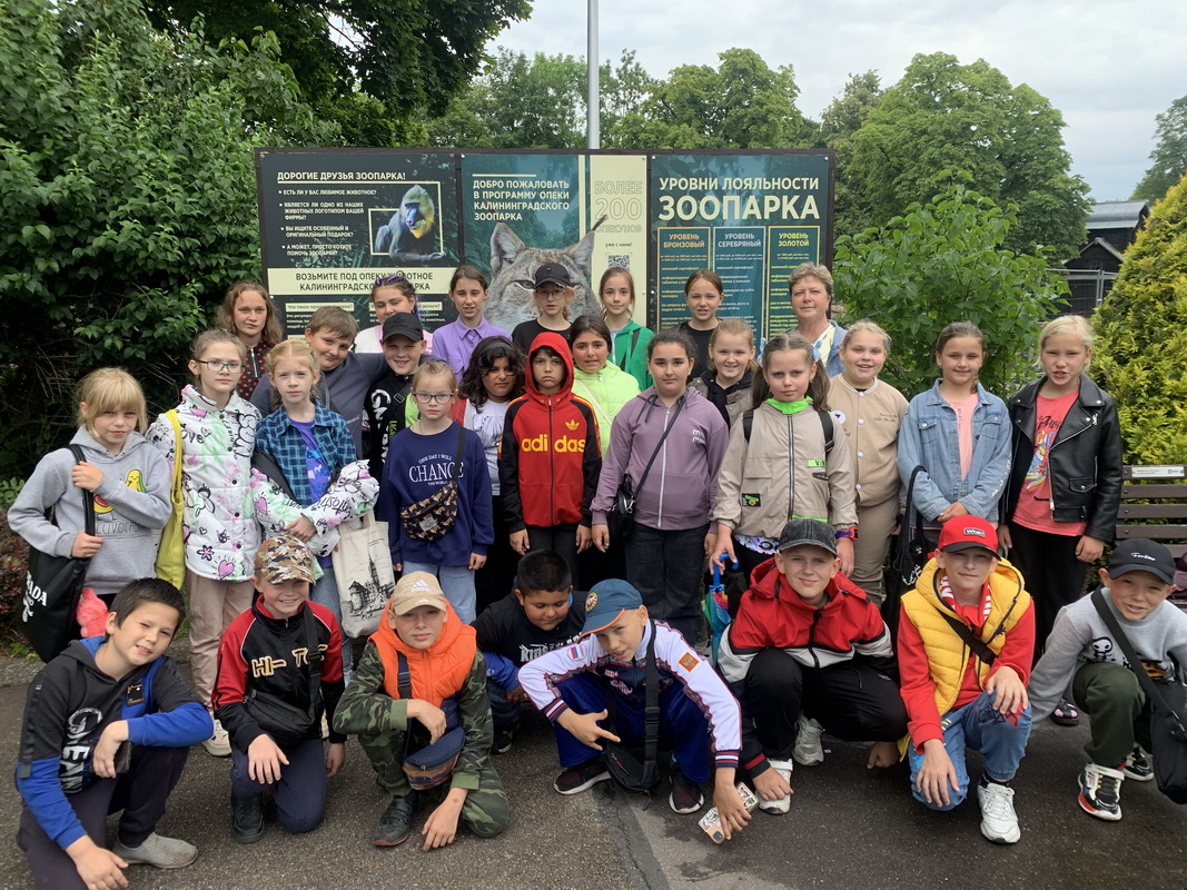 Поездка в зоопарк.